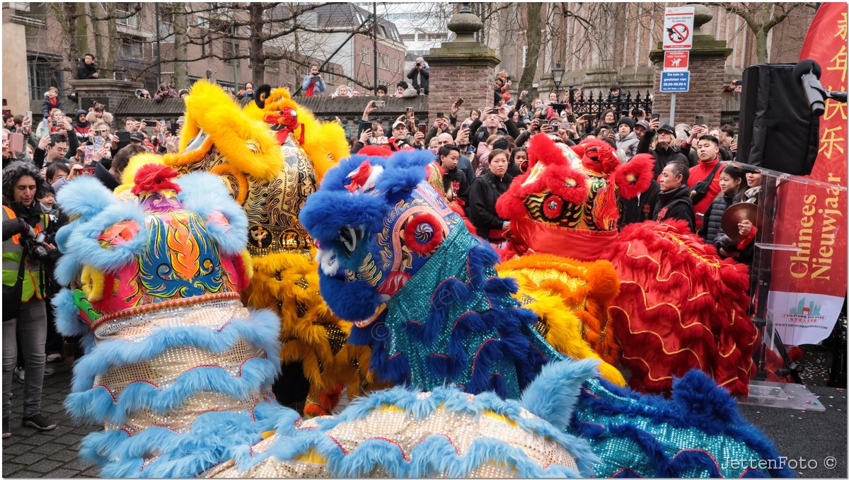 Chinees Nieuwjaar. Foto-16.