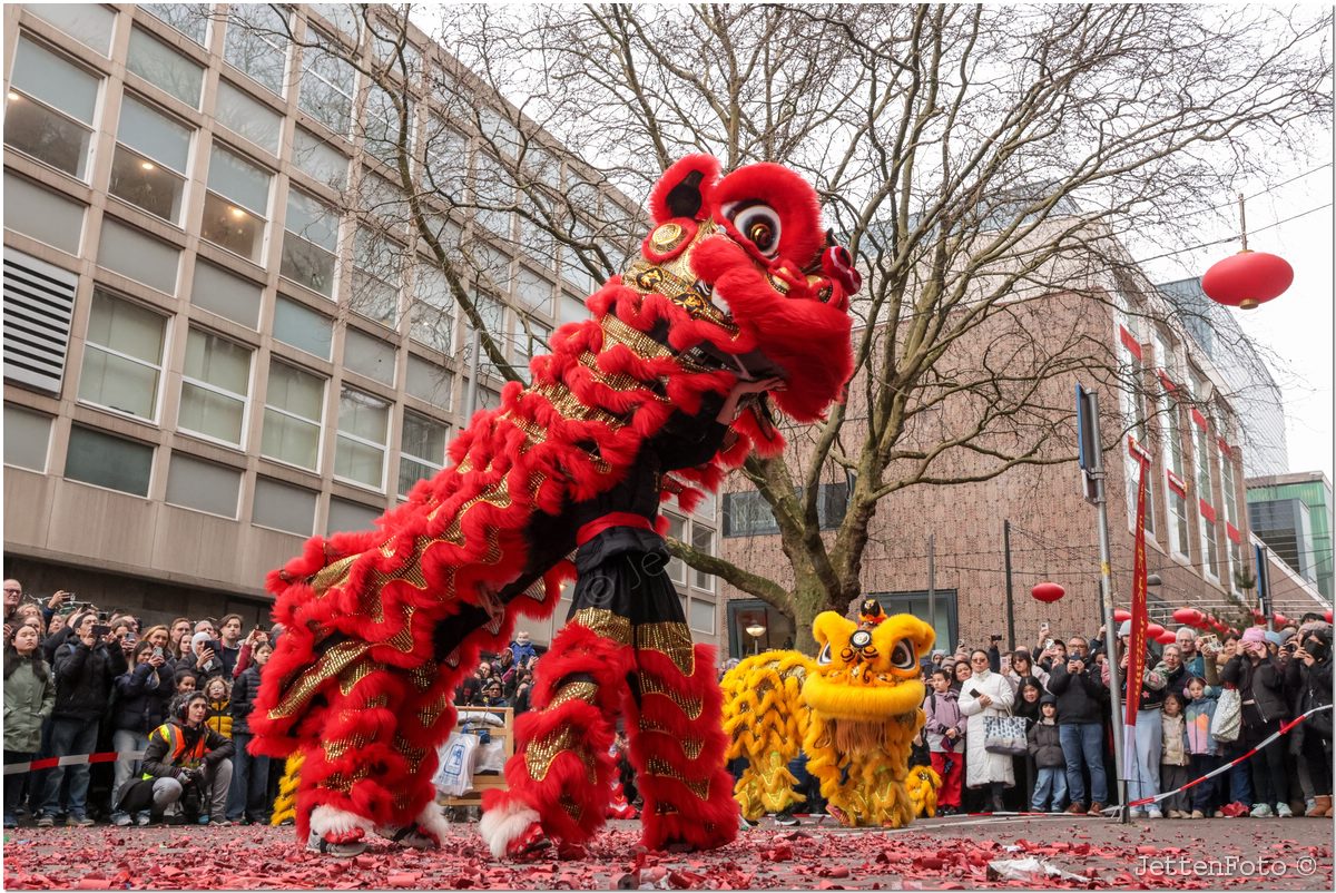 Chinees Nieuwjaar. Foto-24.