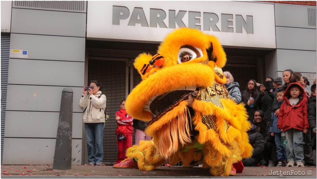 Chinees Nieuwjaar. Foto-26.