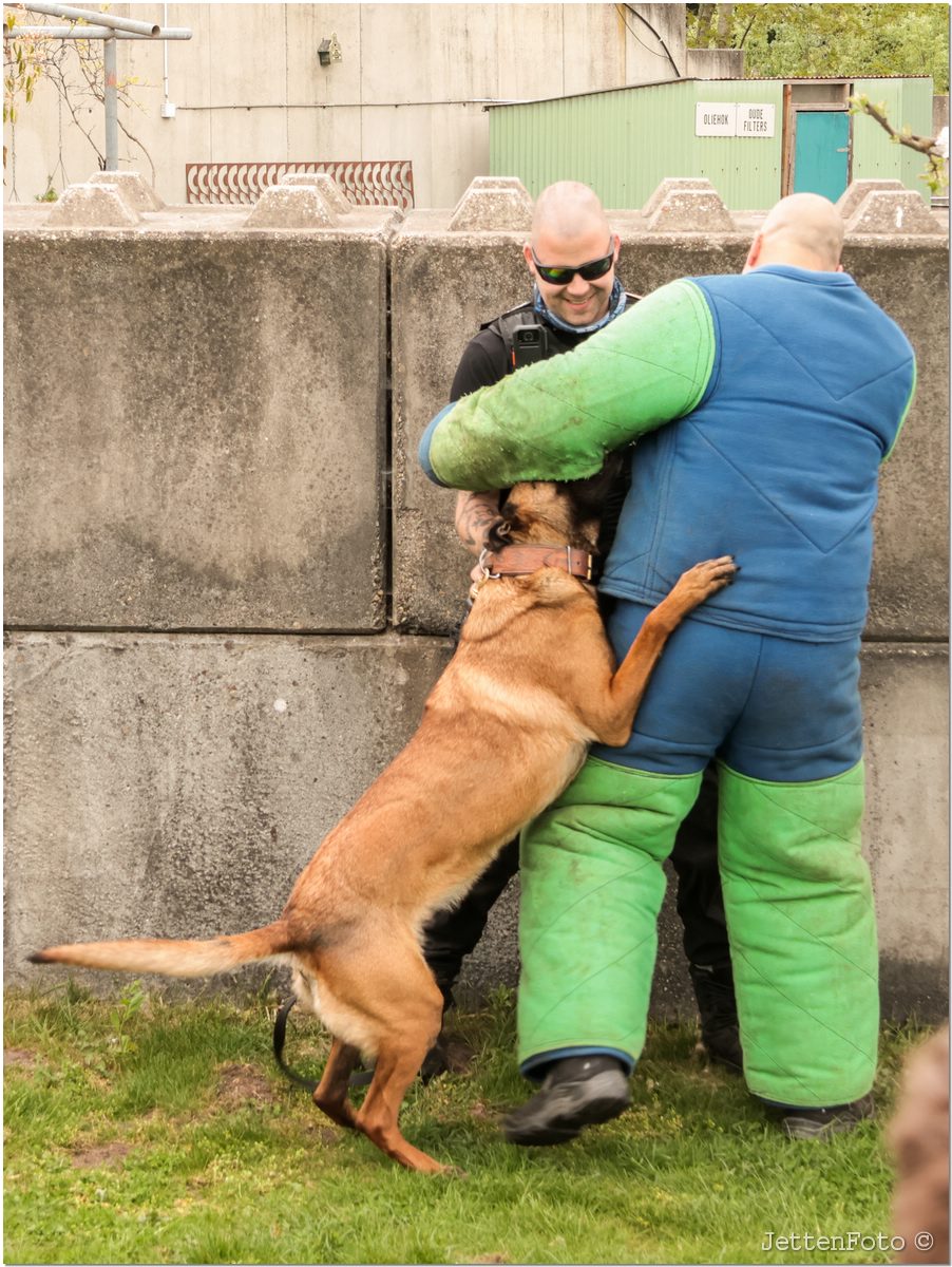 Gouda 112-dag. Foto-45.