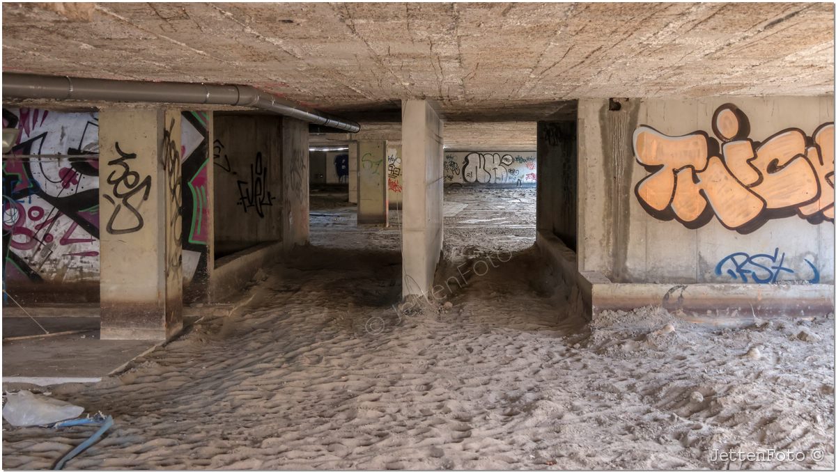 Project Terra Nova. Foto-61.