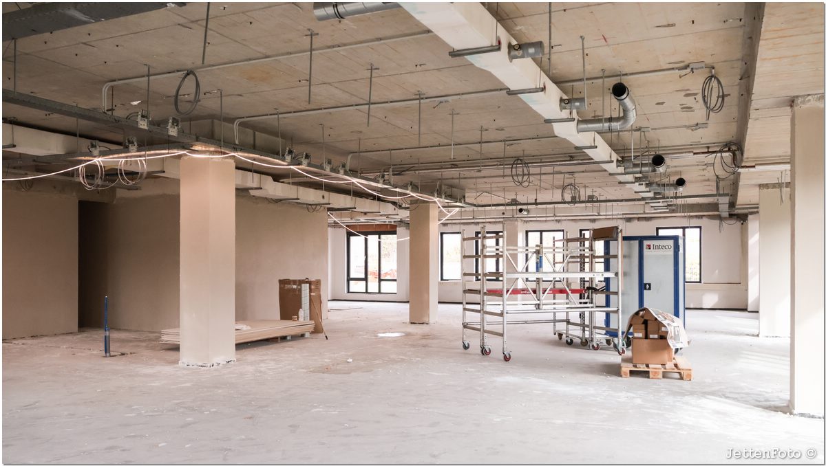 Paletsingel. Foto-100.