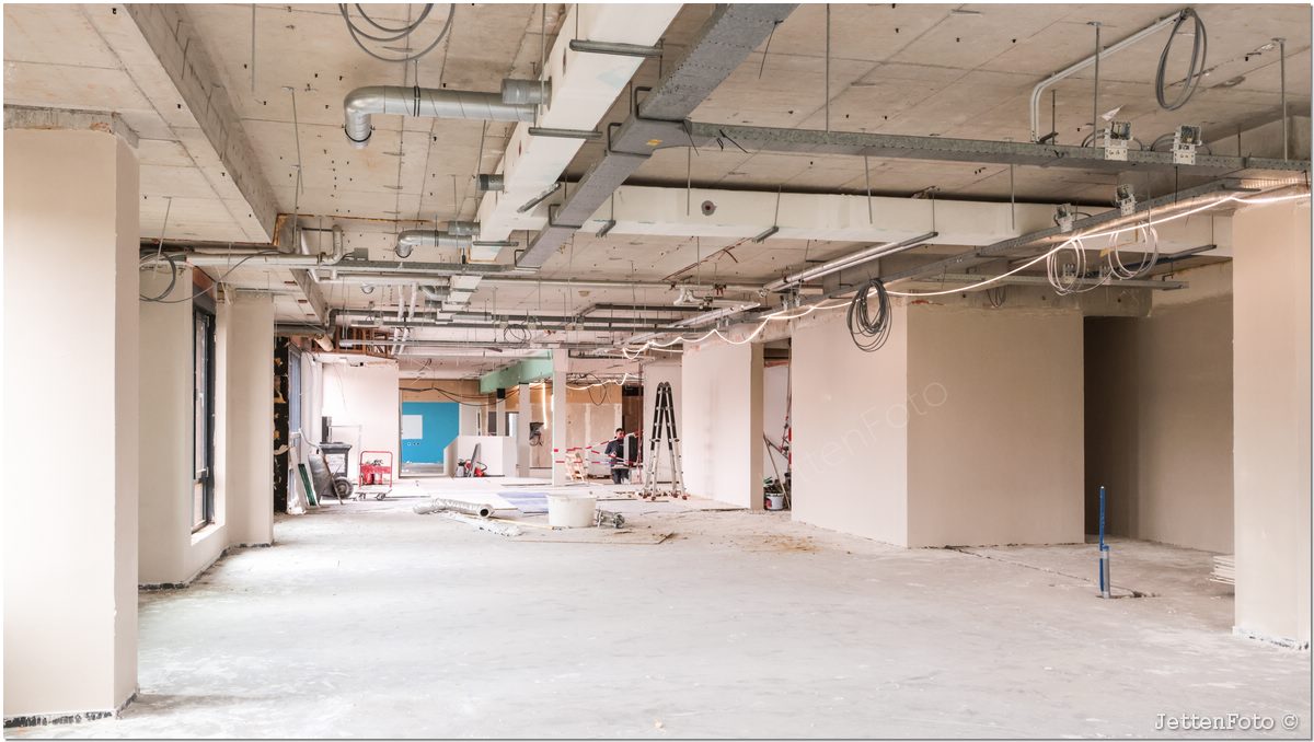 Paletsingel. Foto-101.