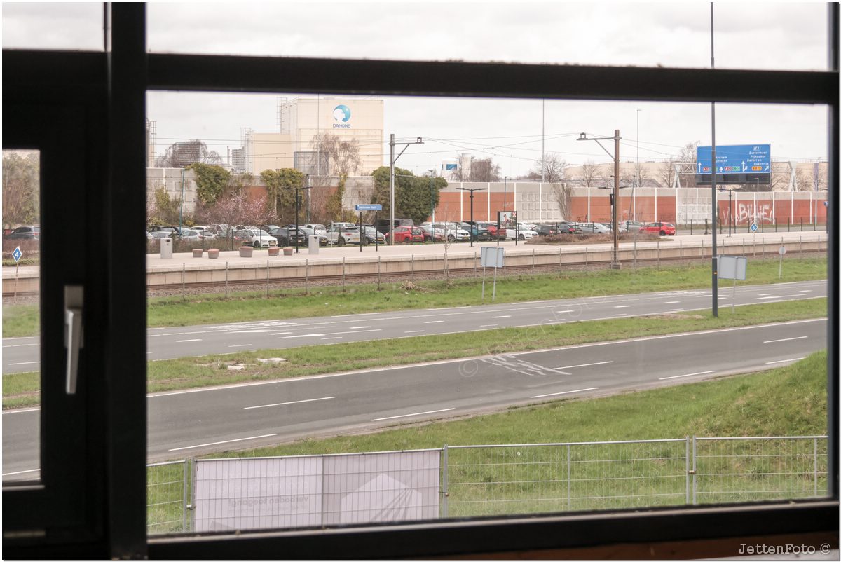 Paletsingel. Foto-103.