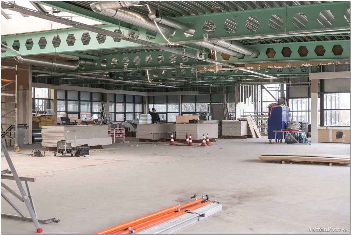 Paletsingel. Foto-104.