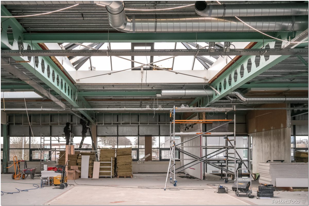 Paletsingel. Foto-105.