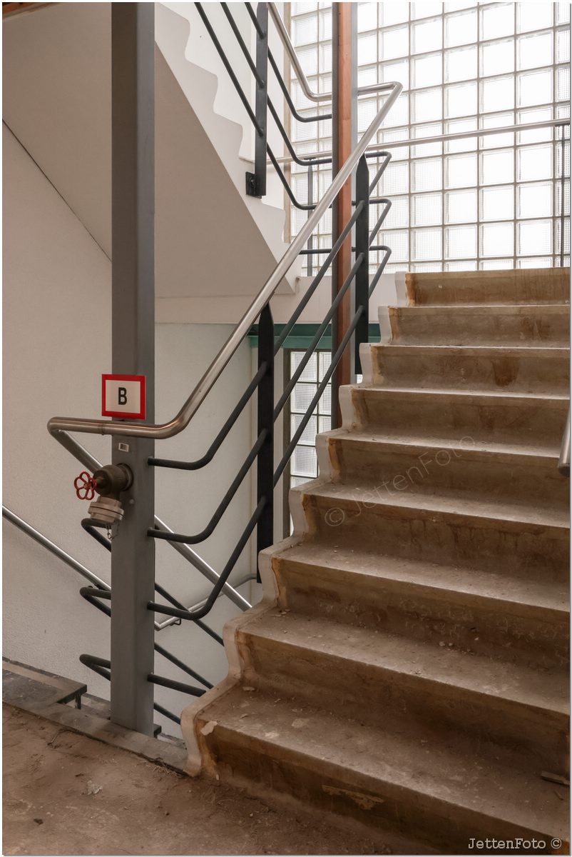 Paletsingel. Foto-107.