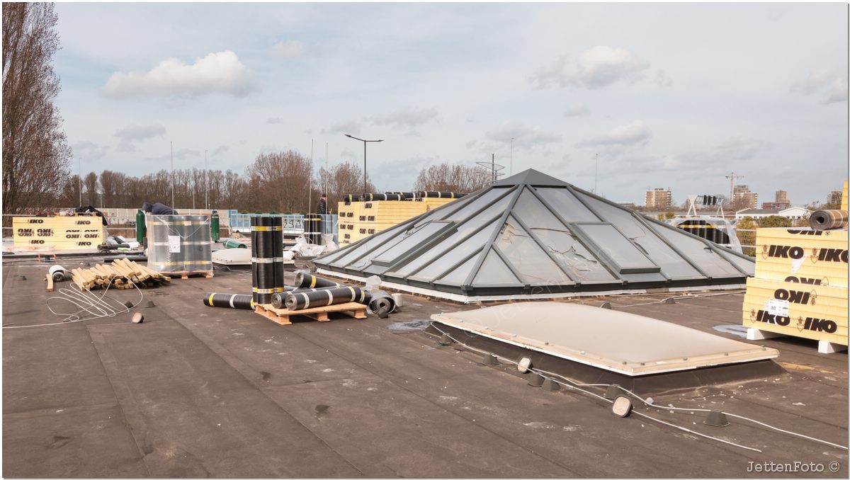 Paletsingel. Foto-108.