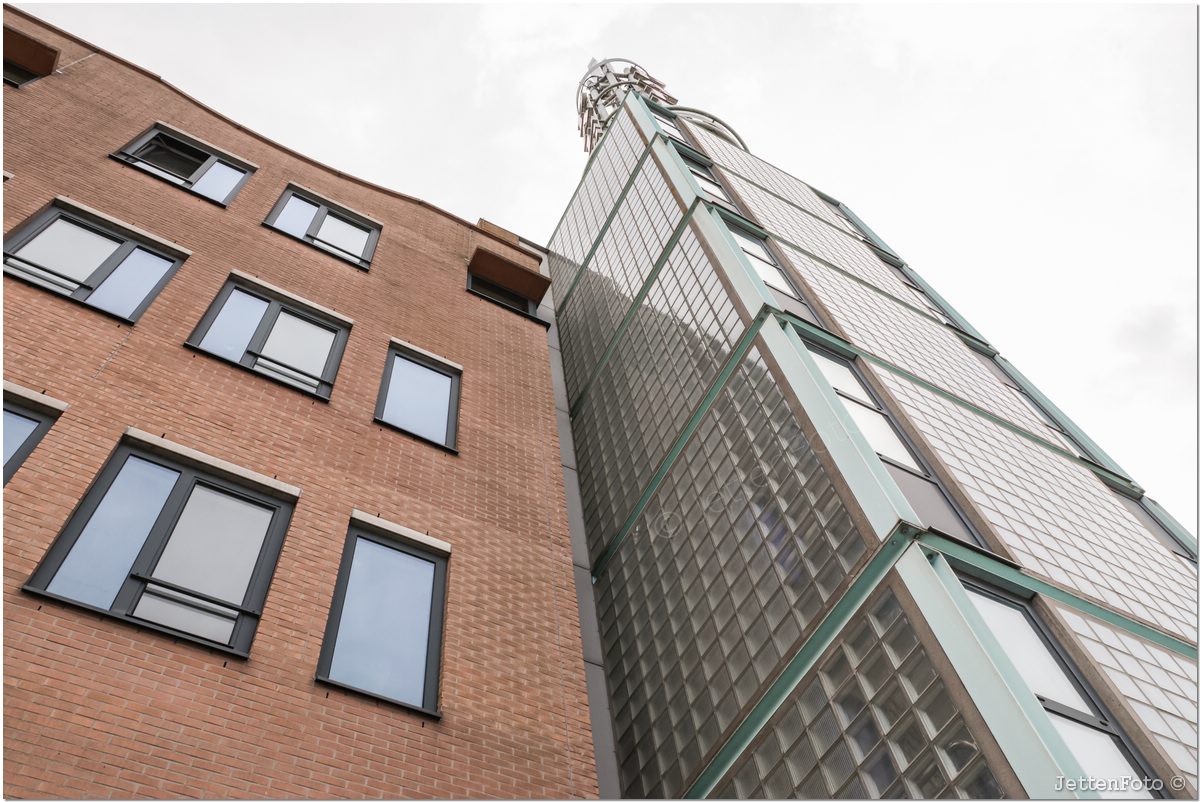 Paletsingel. Foto-109.