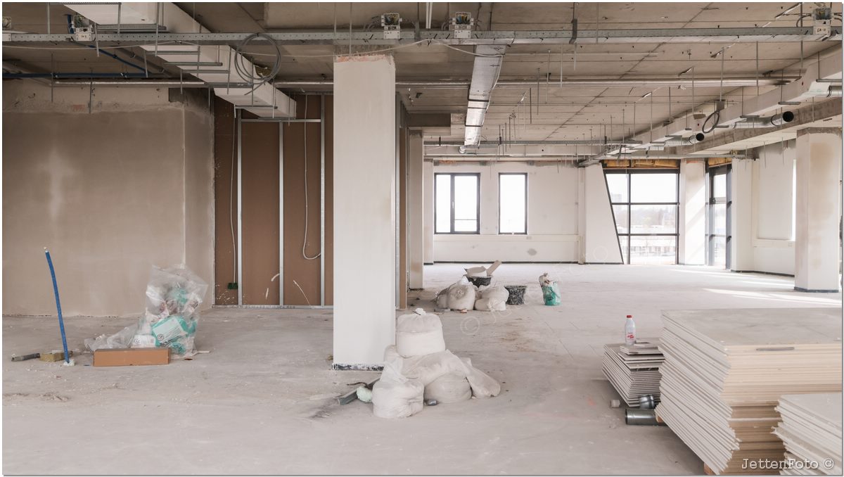 Paletsingel. Foto-110.