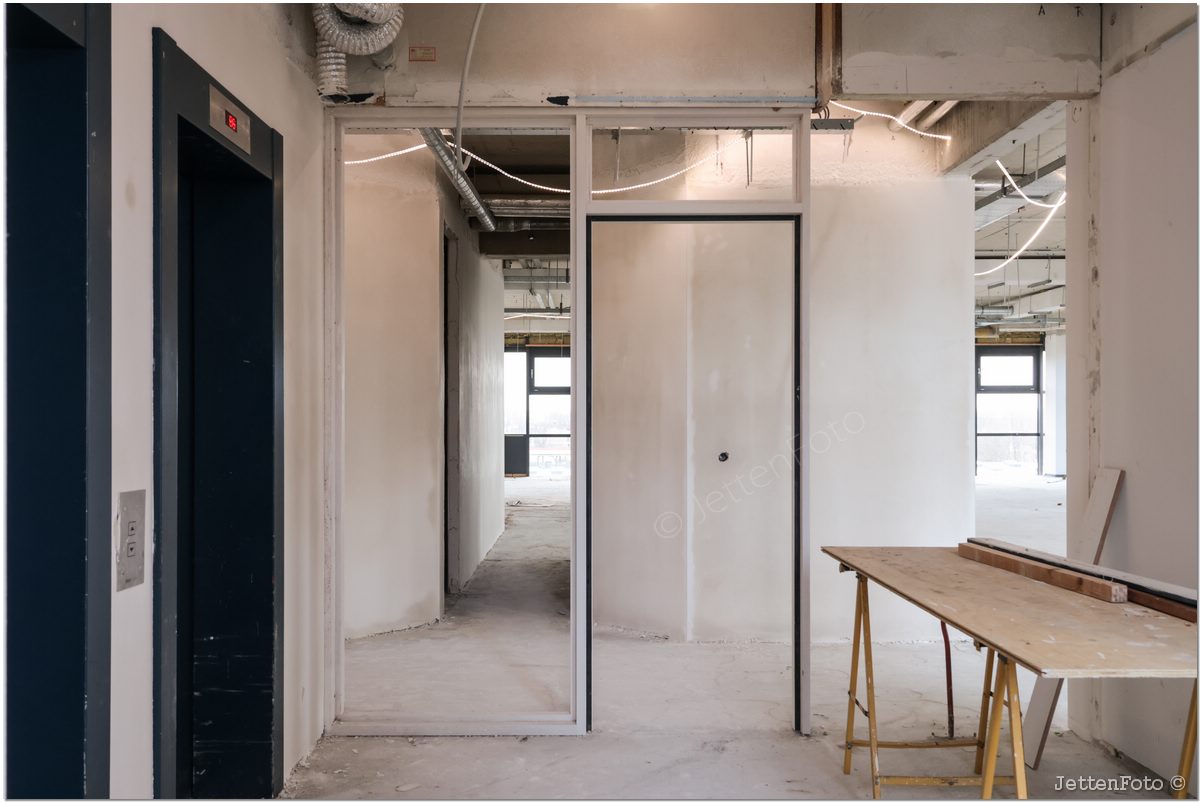 Paletsingel. Foto-111.