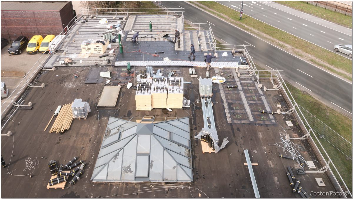 Paletsingel. Foto-112.