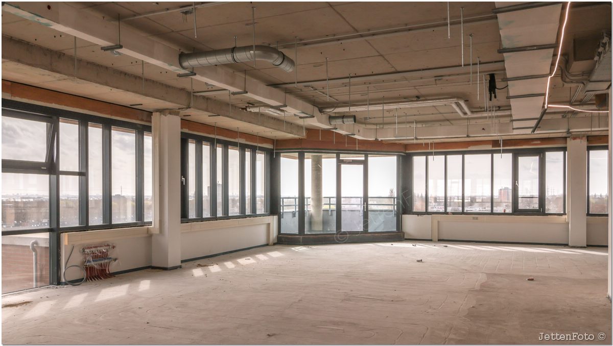 Paletsingel. Foto-114.