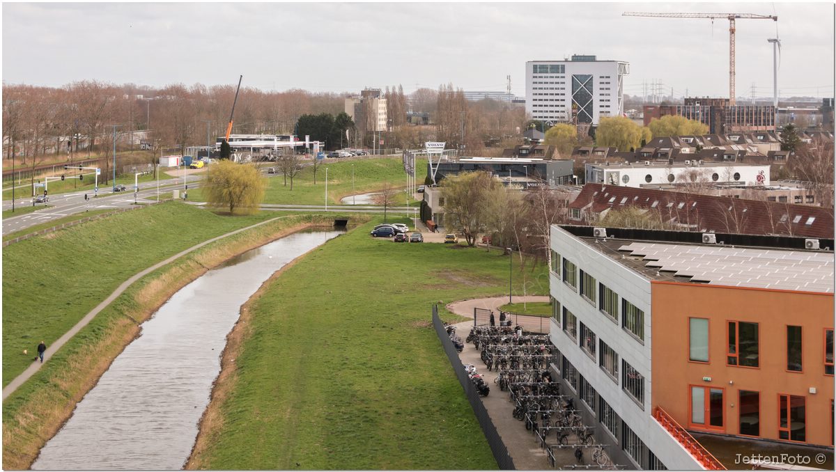 Paletsingel. Foto-115.