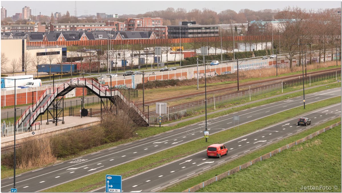 Paletsingel. Foto-117.