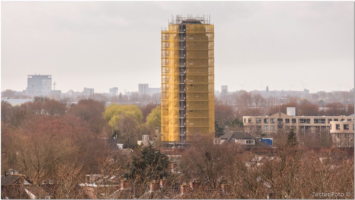 Paletsingel. Foto-118.