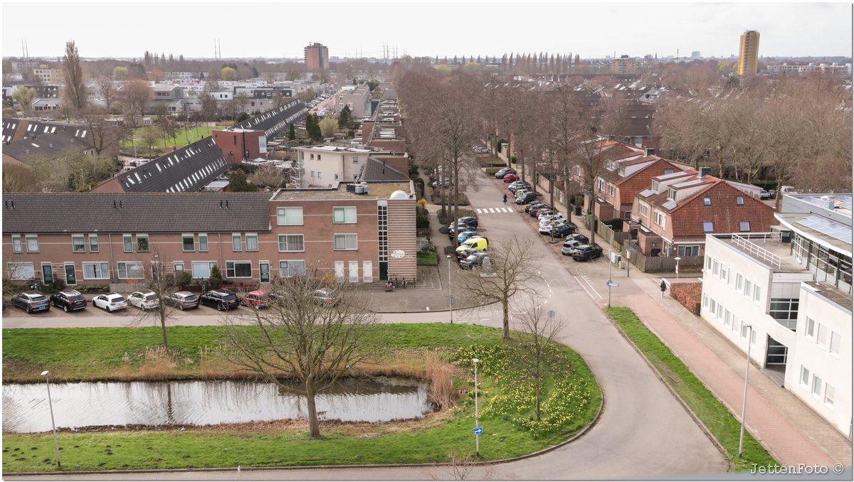 Paletsingel. Foto-119.