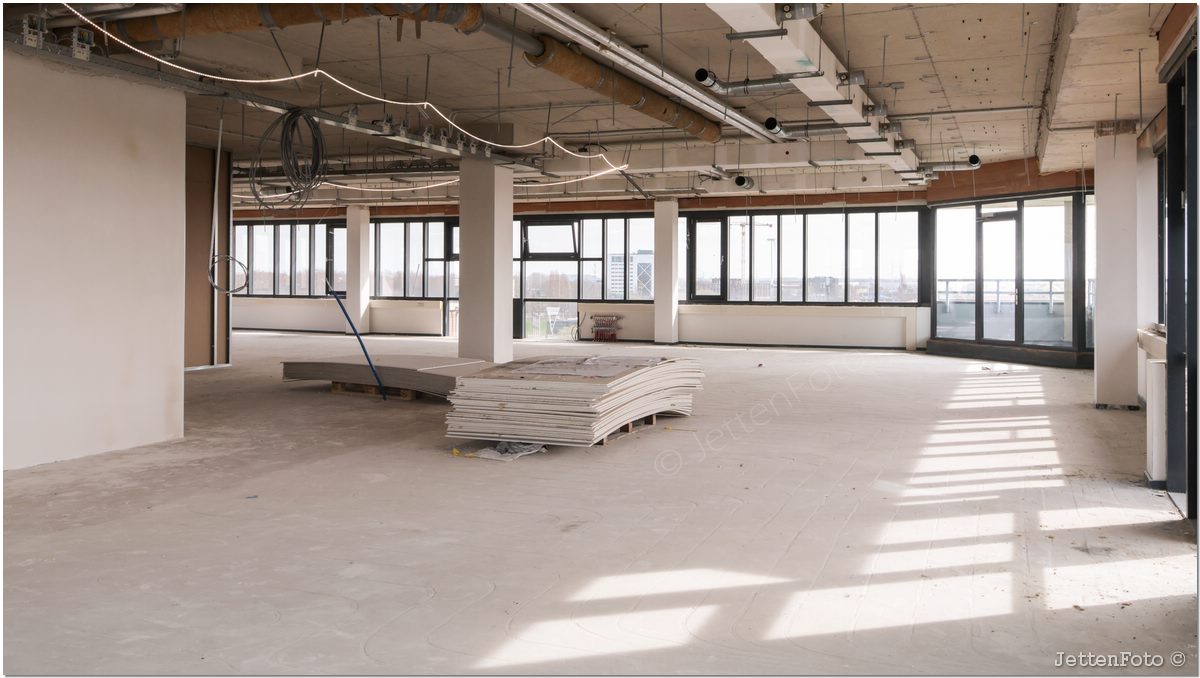 Paletsingel. Foto-120.