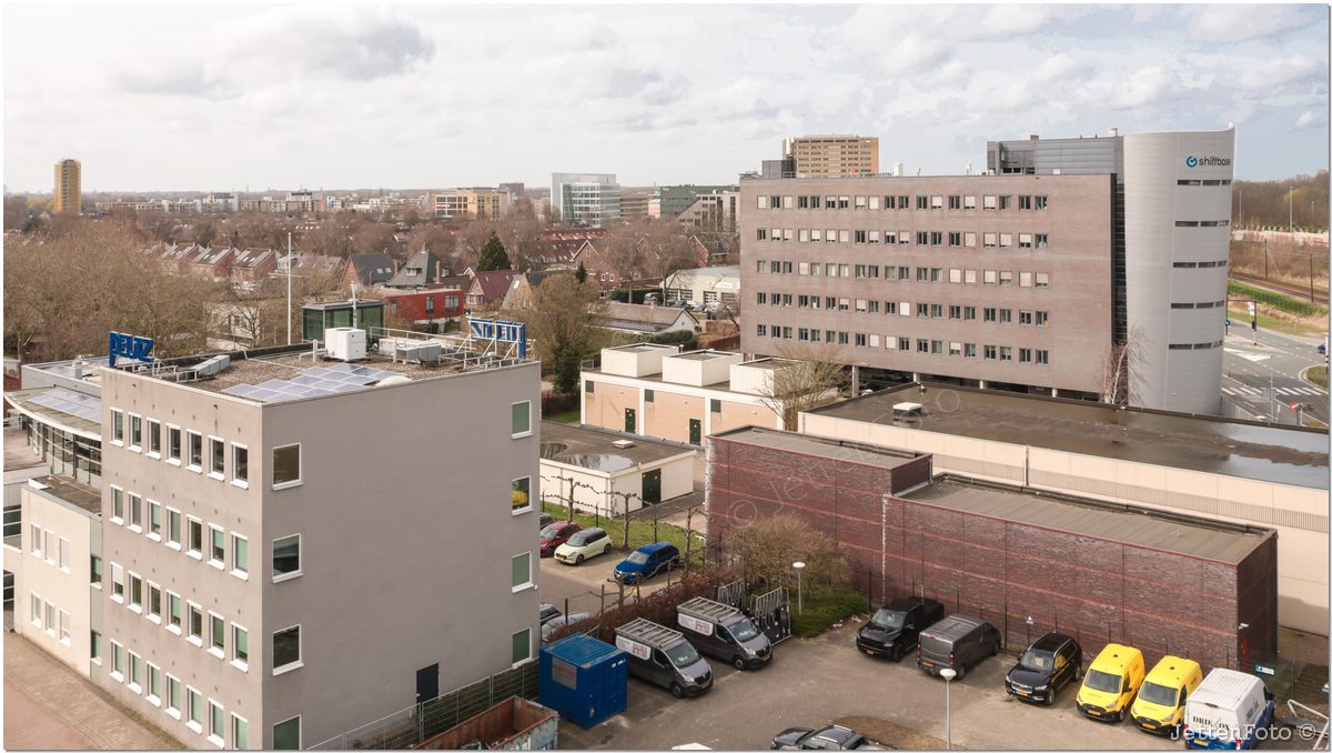 Paletsingel. Foto-121.