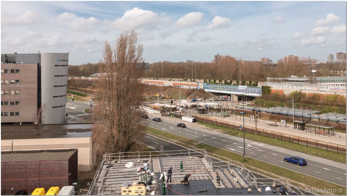 Paletsingel. Foto-123.