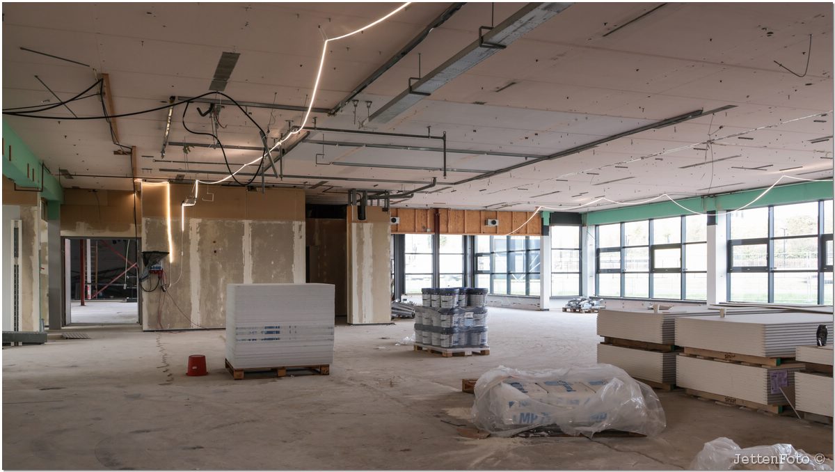 Paletsingel. Foto-125.