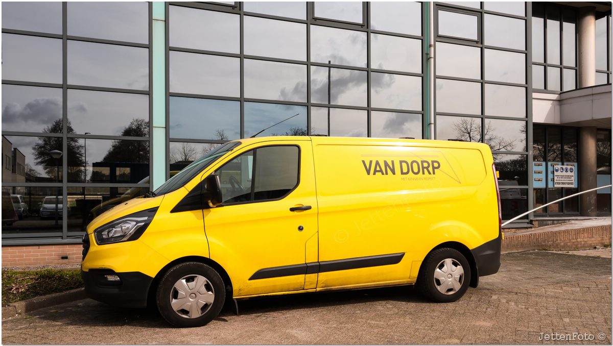 Paletsingel. Foto-127.