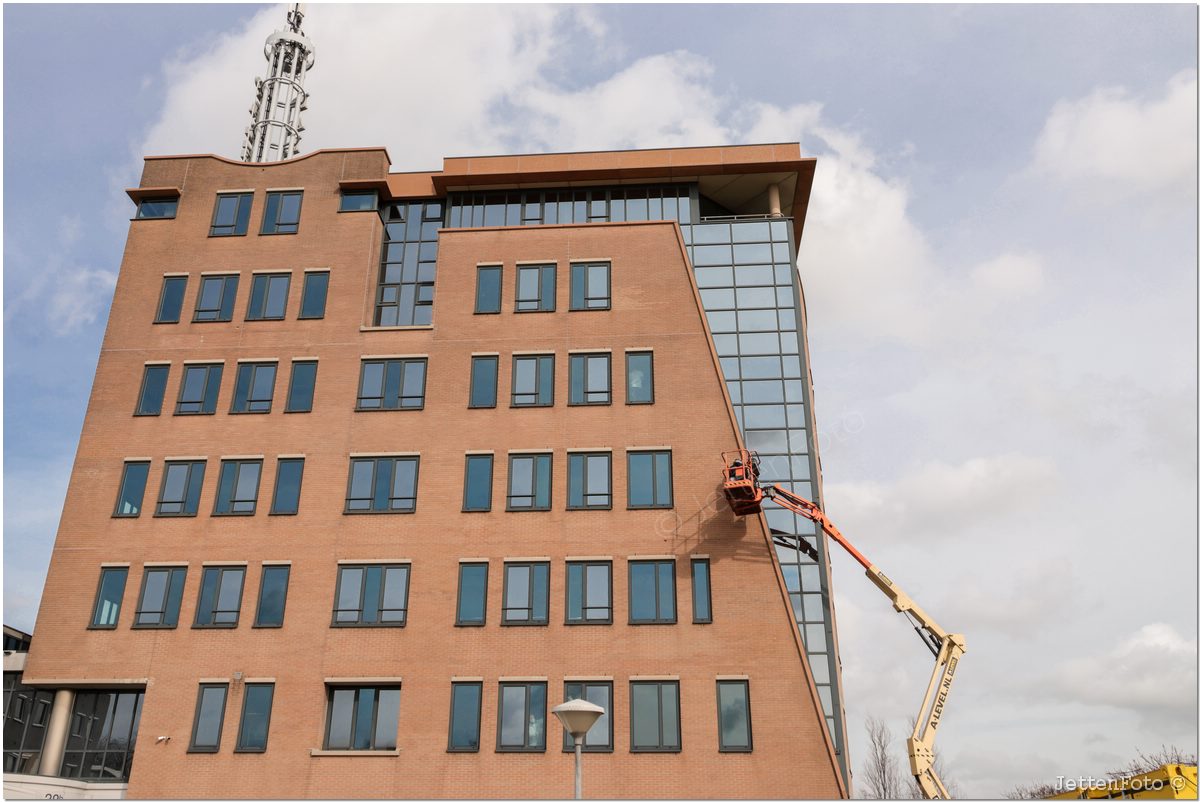 Paletsingel. Foto-128.